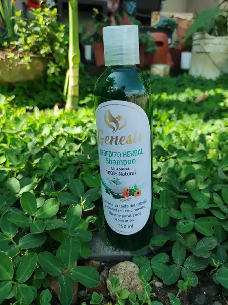 CHAMPÚ BEBEDIZO HERBAL 250 ml